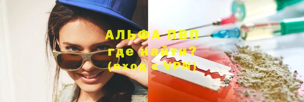 крисы Алзамай