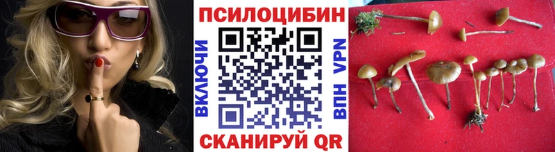 Псилоцибиновые грибы Psilocybine cubensis Арсеньев